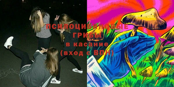 шишки Лихославль