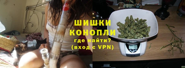PSILOCYBIN Липки