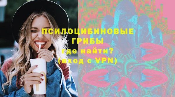 PSILOCYBIN Липки