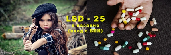 PSILOCYBIN Липки