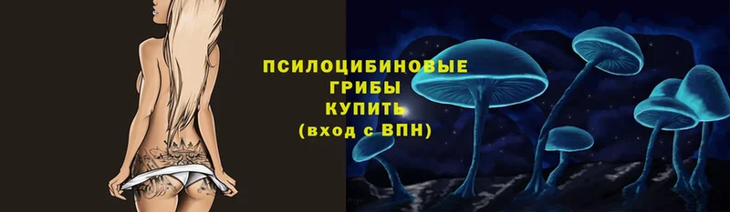 купить закладку  Красный Сулин  блэк спрут рабочий сайт  Псилоцибиновые грибы MAGIC MUSHROOMS 