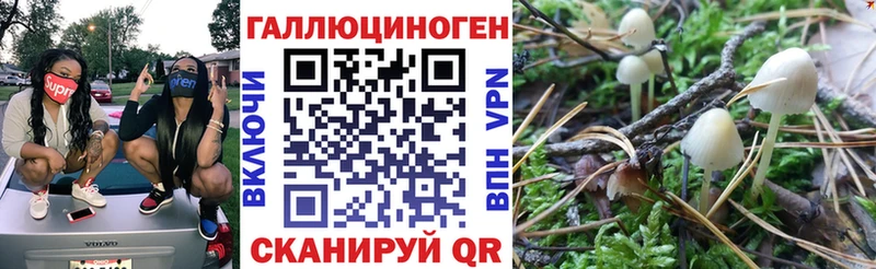 дарнет шоп  Красный Сулин  Галлюциногенные грибы ЛСД 
