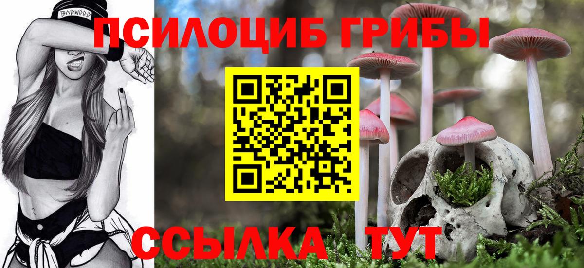 Псилоцибиновые грибы Psilocybine cubensis  Вход с VPN  Красный Сулин 